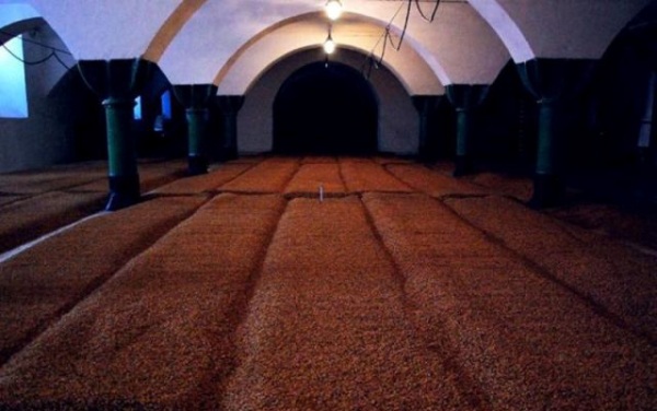 啤酒石油黑泥浴，工业旅游打卡胜地、吸客神器