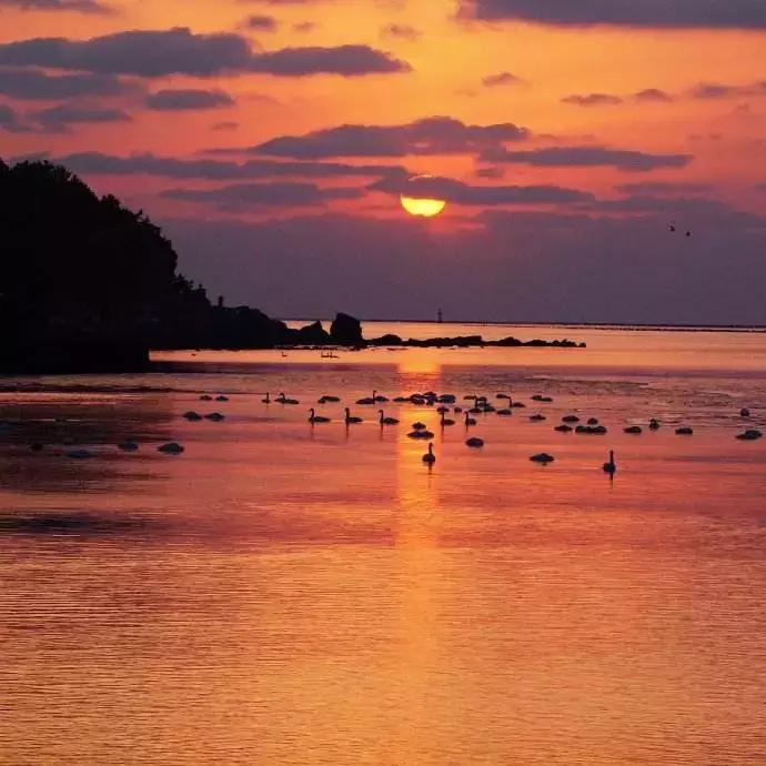 北方冬季适合吃的海鲜,北方冬天适合去的海滨小城