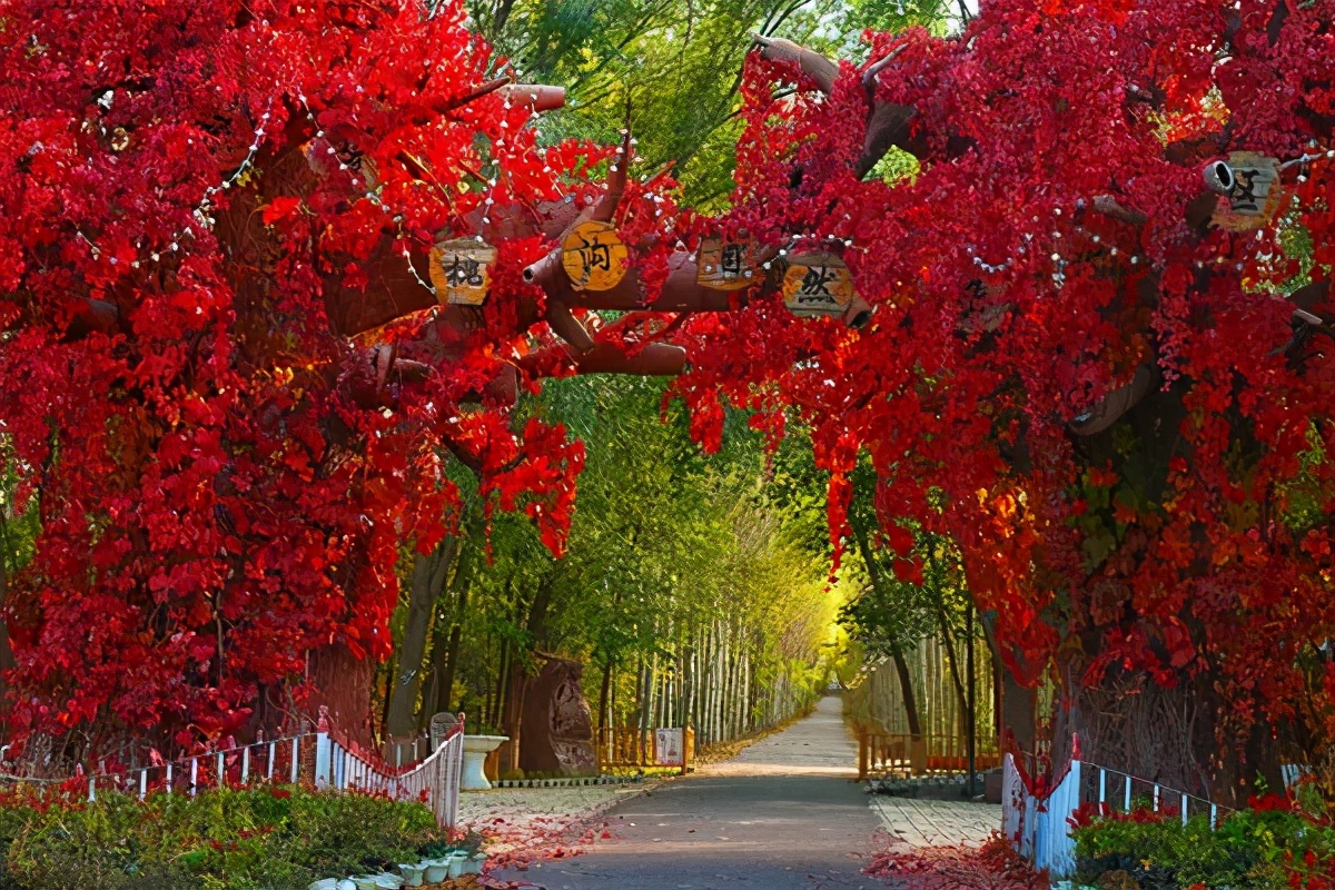 伊犁最美的50处绝色美景,伊犁最美的小众景点