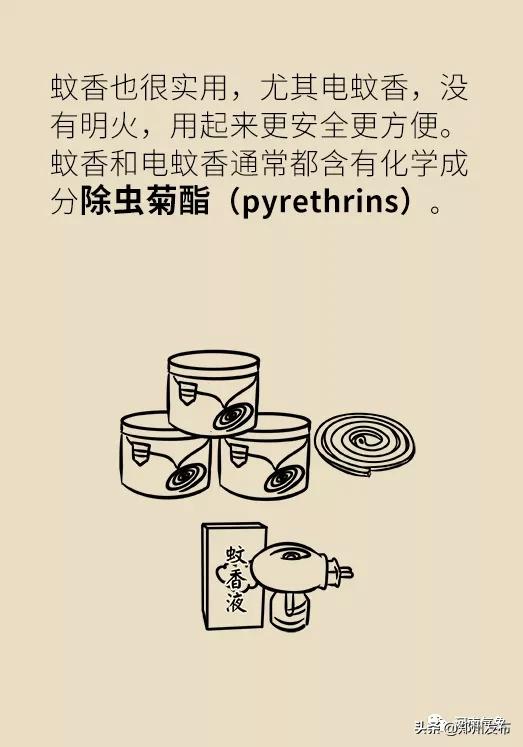 被蚊子吵得睡不着觉怎么发朋友圈,晚上用电风扇被蚊子吵得睡不着