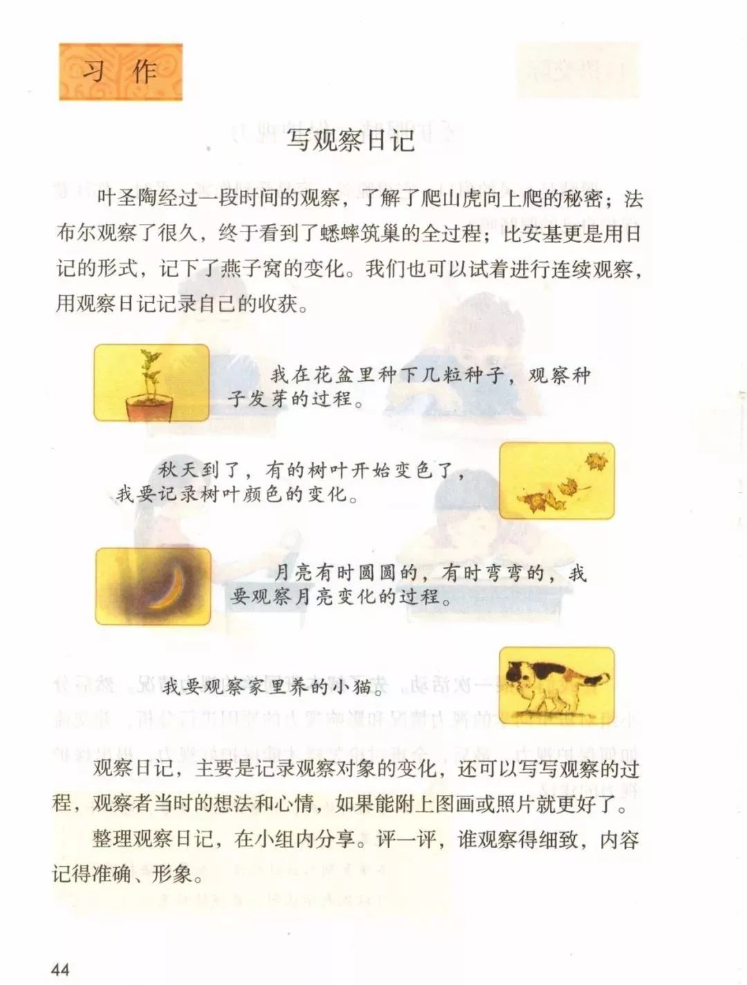 2019秋统编版四年级语文上册电子课本1-4单元（送审版）