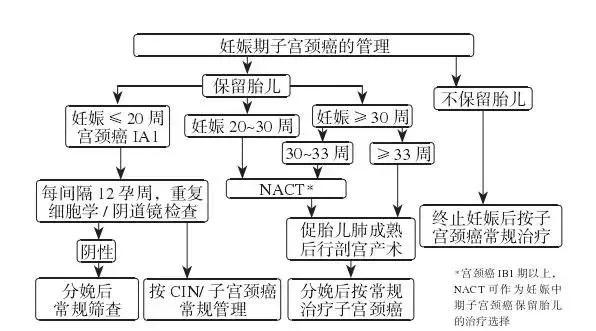 妊娠“撞上”宫颈癌该终止还是继续妊娠?