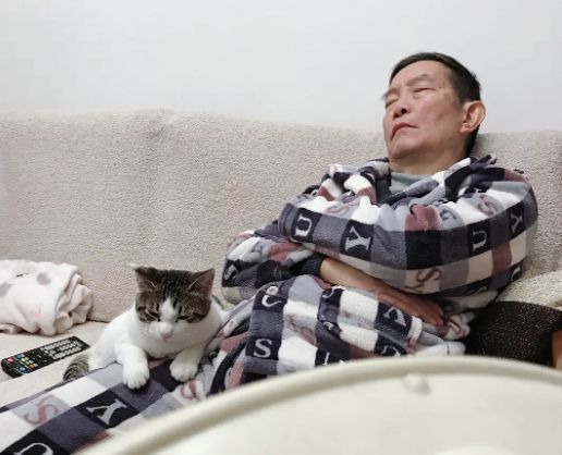 养猫后儿子鼻过敏，妈妈心生一计：不如你搬出去住吧！