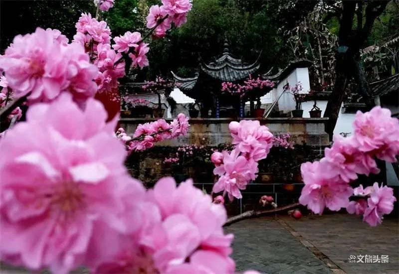 瞧!这花花世界谁不爱