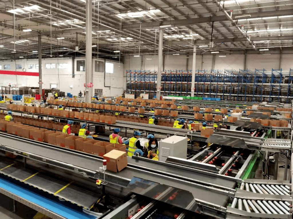 农业人阿甘,中国农业大学阿甘