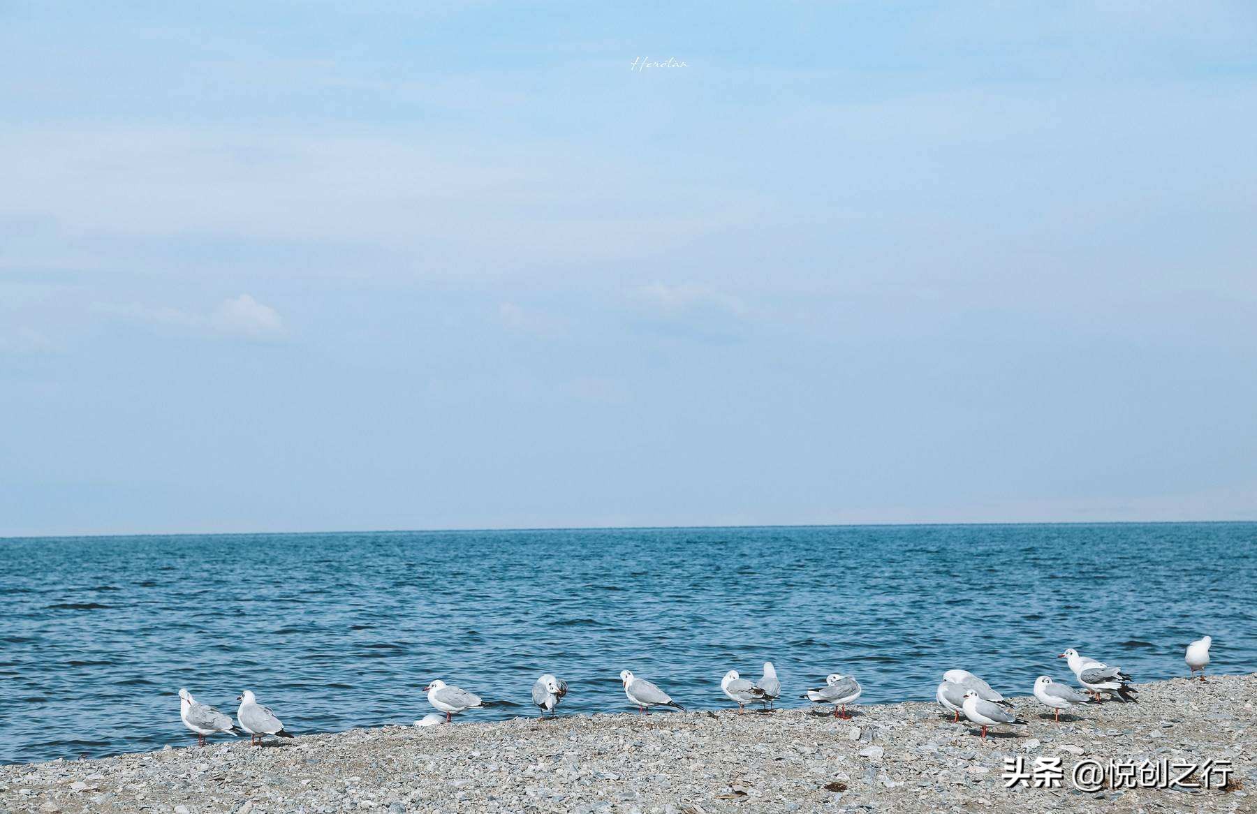 全方位解读山东师范大学，你要的全都有，不看后悔系列
