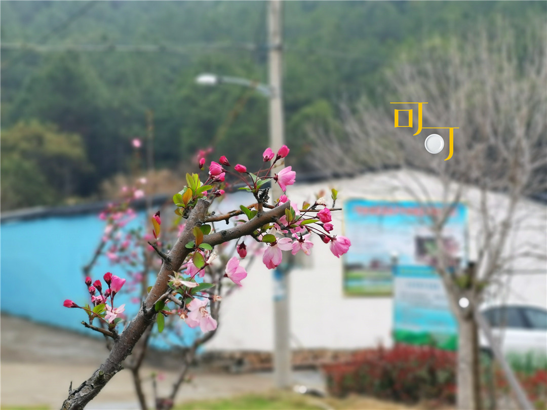 象山看大海住宿,象山适合亲子游可赶海的民宿