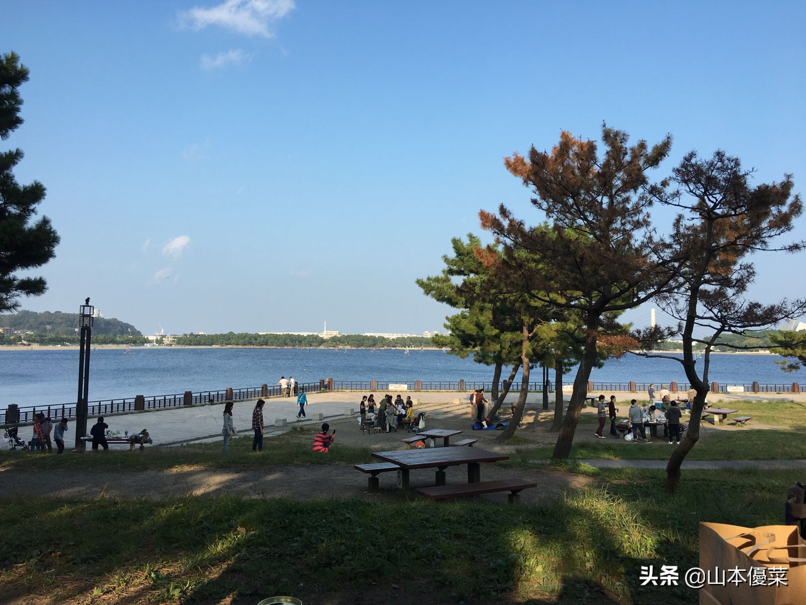 横滨游玩地点攻略,横滨旅游必去十大景点