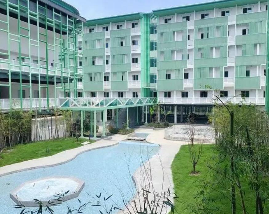 杭州一所网红学校,杭州白小线网红学校