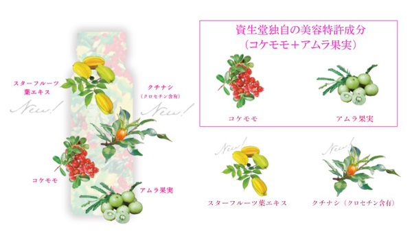 新年送好礼｜资生堂爸爸带它的TheCollagen天团来啦！