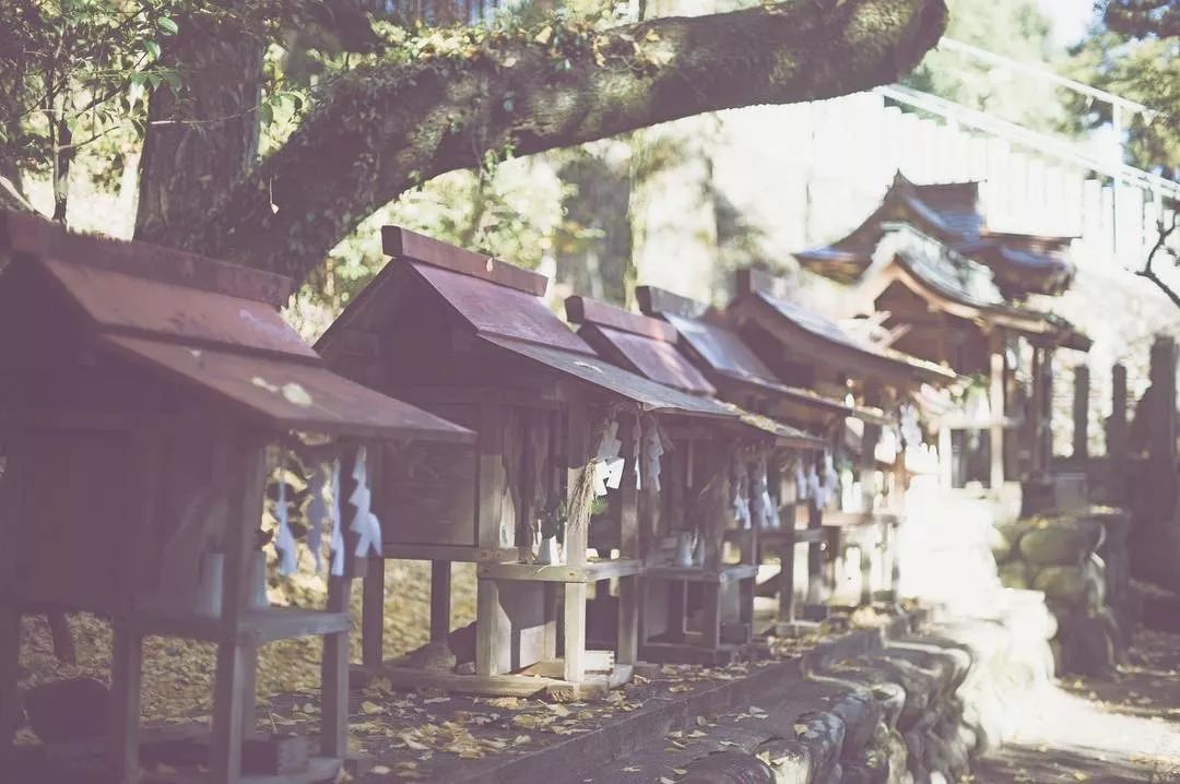 日本名古屋有什么好吃的,名古屋美食大起底