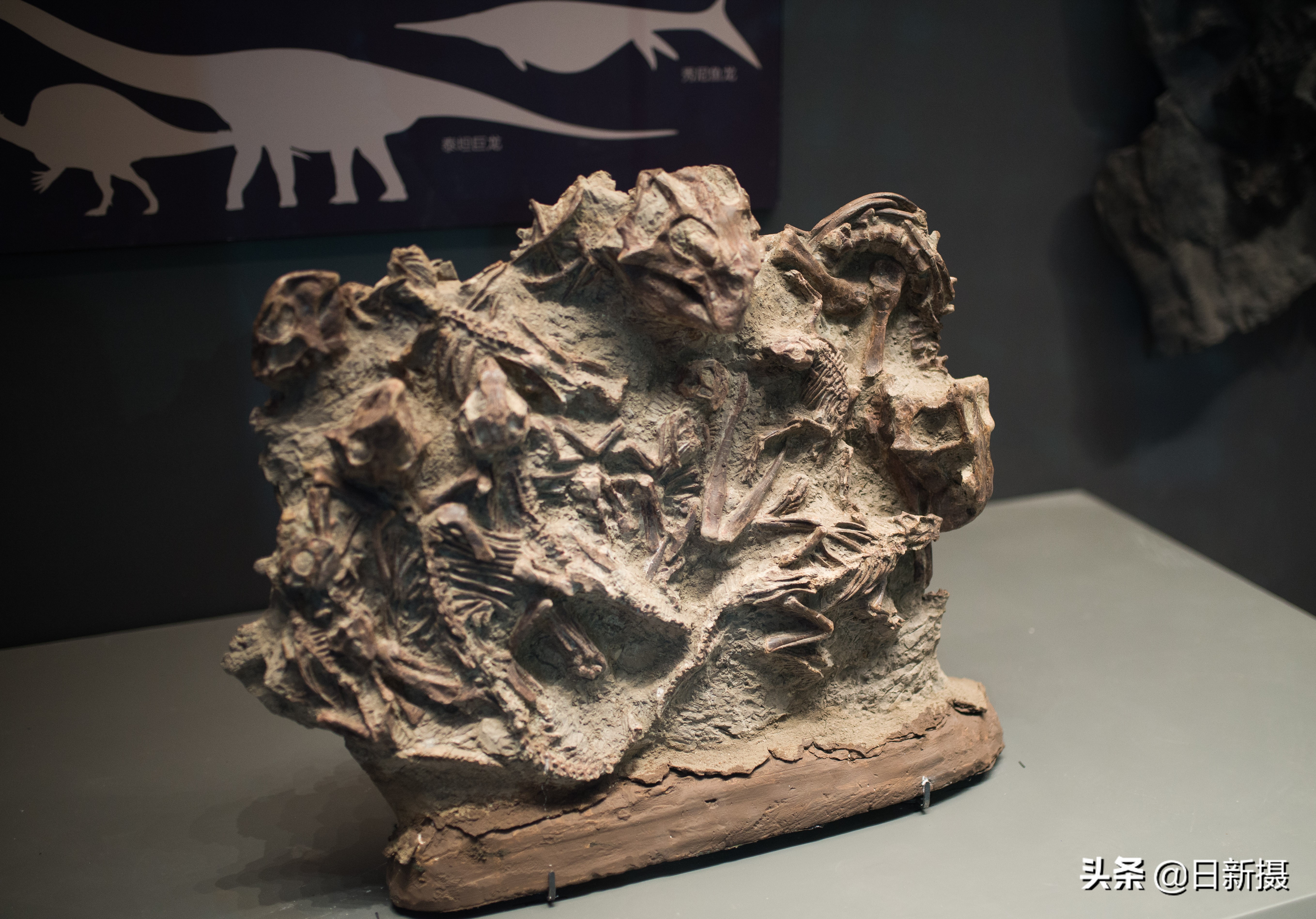 国家海洋博物馆之行,国家海洋博物馆蓝色海洋体验馆