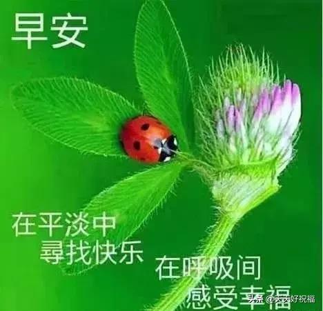 朋友圈祝福的话简短暖心,朋友圈贴心祝福语