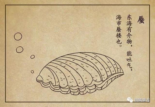 蛤没内衣与平阳田螺精