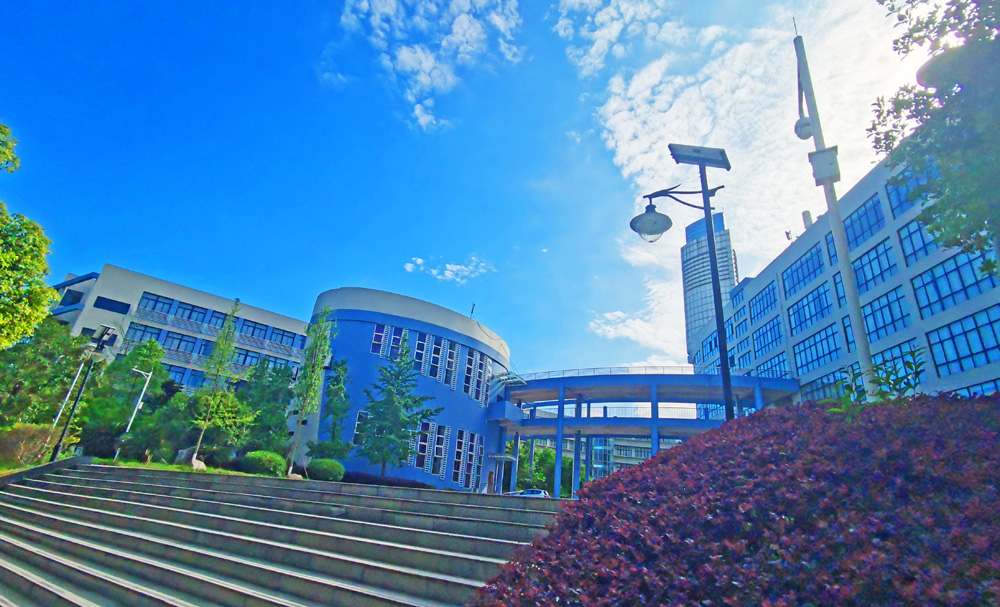 四川遂宁市有哪些公办大学,四川遂宁大学