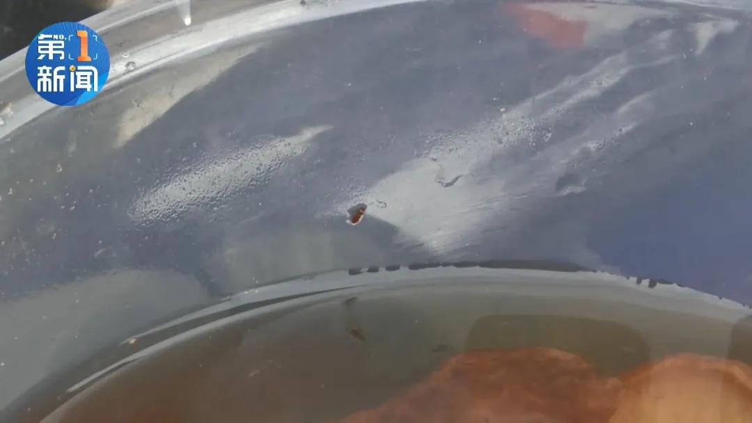 大超市买的香菇，一煮一锅虫！一查，这香菇都放了三年多了