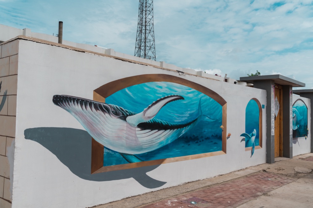 周末24小时畅玩,周末去哪儿玩曹妃甸