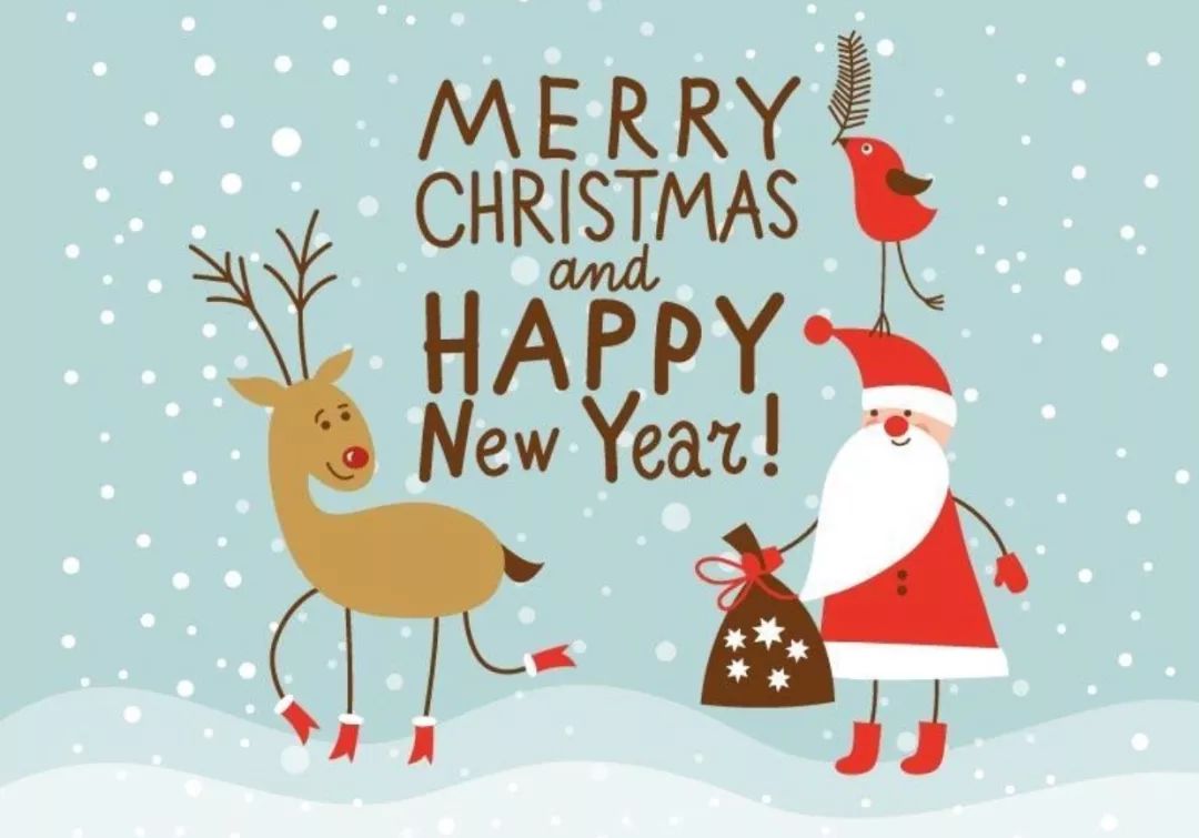 怎样才能和龙猫增进感情,如何跟龙猫快速增进感情