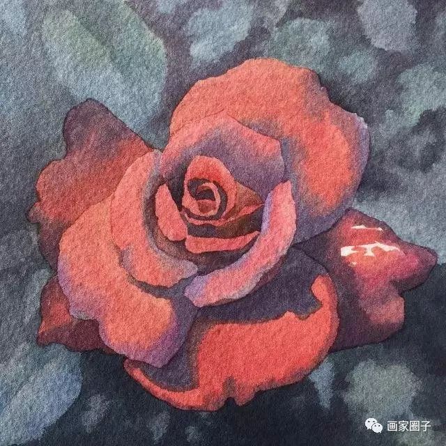 100种漂亮花卉图片,100张漂亮花图