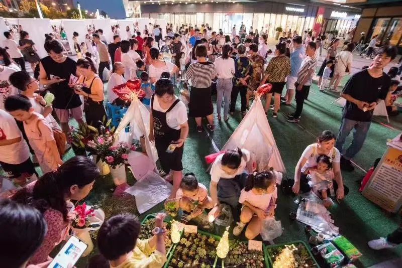 乘风破浪是什么级别的节目,乘风破浪第几季是天花板