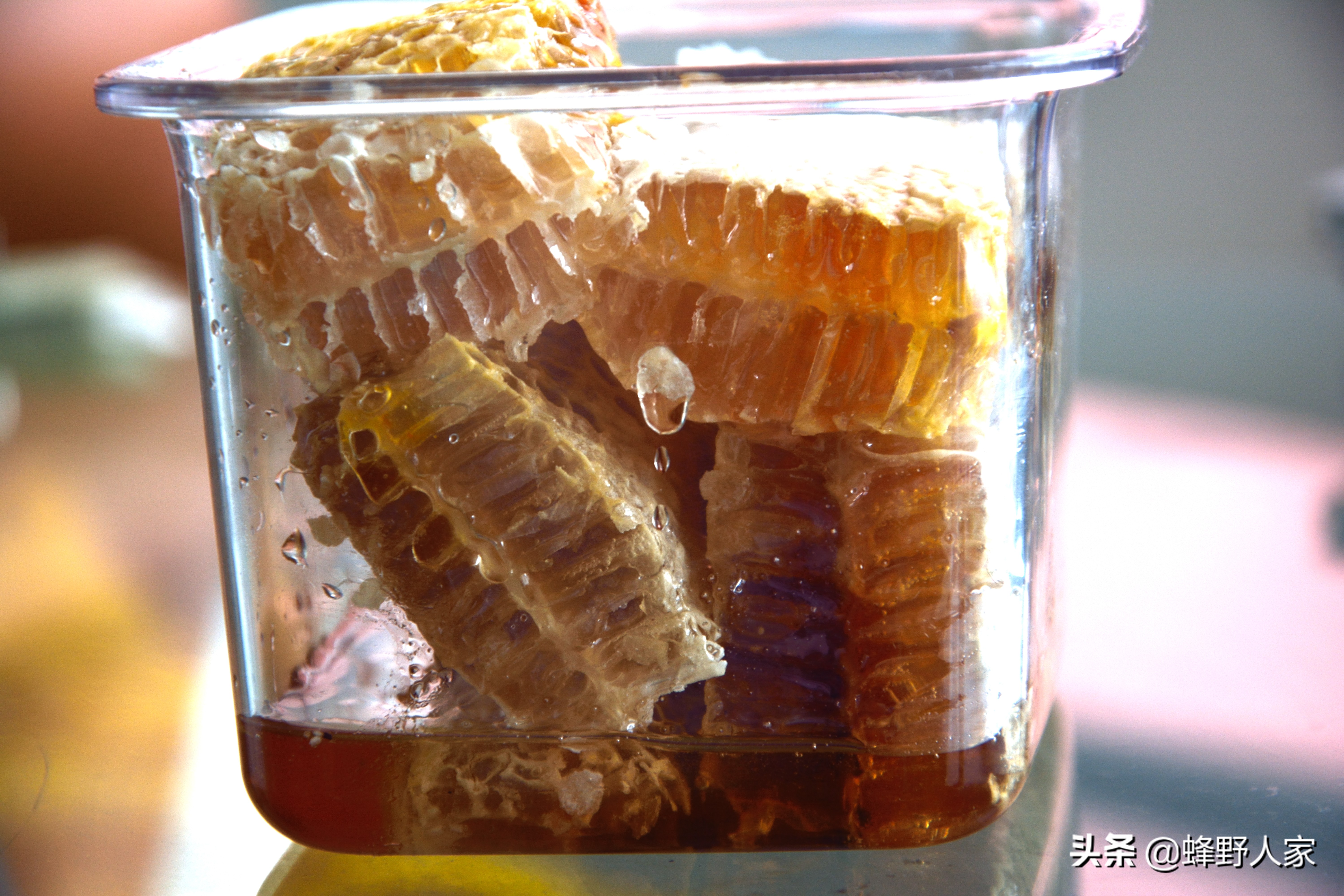 真正的蜂蜜是什么蜜,什么样的蜂蜜是天然蜜