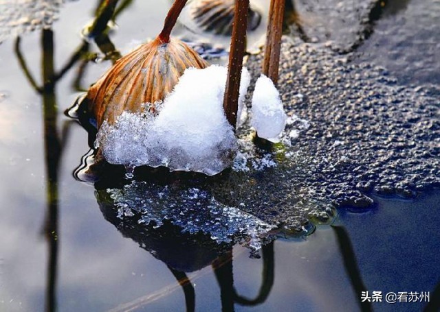 寒潮自家用水防冻攻略,水缸冬季防冻