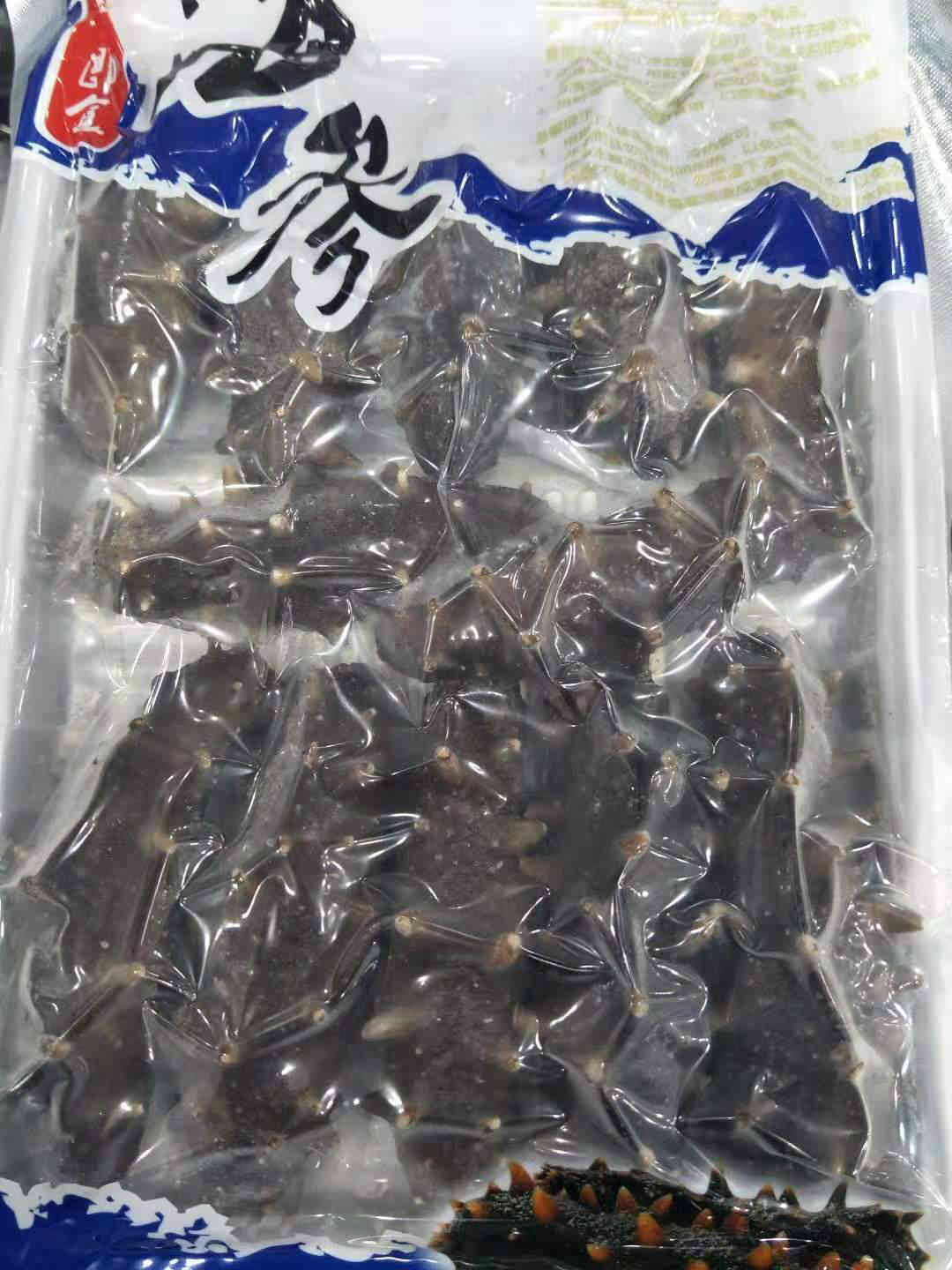 海参百科,海参科普