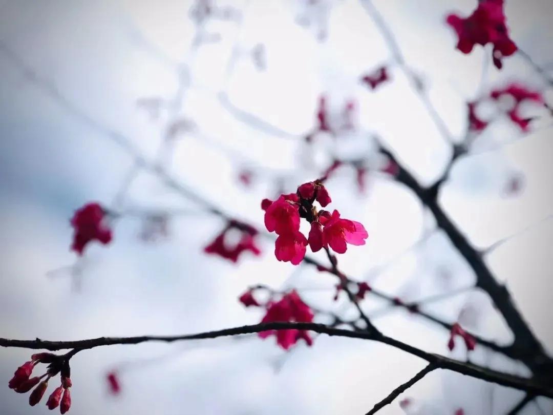 摄影作品精选展,每周摄影作品