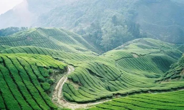 马来西亚仙本那旅游攻略,马来西亚和泰国旅游对比