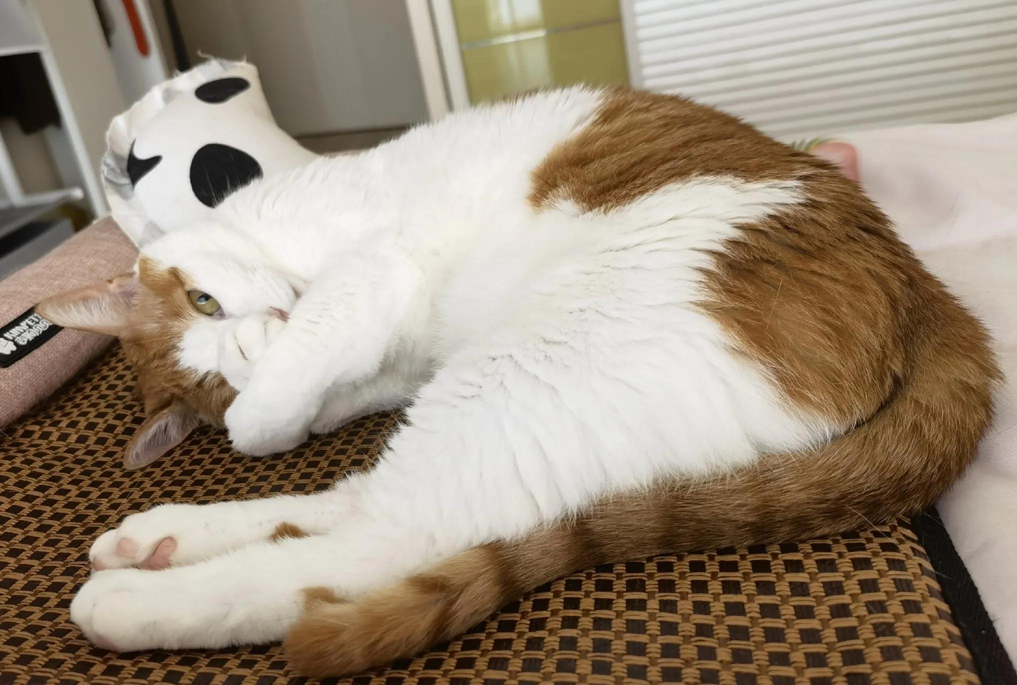 为什么一旦睡不着就很难入睡,一到深夜特别清醒睡不着怎么办