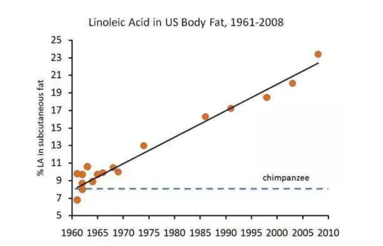 吃什么食物可以补充omega-3,含有omega3的食物排行榜