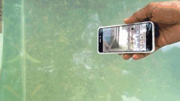 手机寿命的长短跟什么有重要联系,影响手机寿命的罪魁祸首