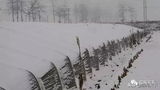 沧桑巨变五十年回望历史七绝,沧桑巨变国富民强
