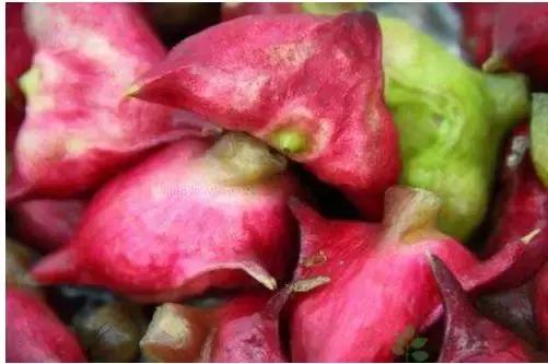 遇到这菜再贵也要吃,遇到这种菜别手软