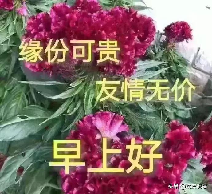 有些人需要的只是用心和感受,有些人有些事只有经历了才知道