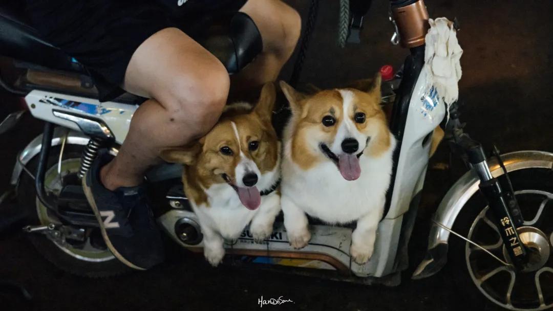 你多久没走过墨尔本,你多久没去过老街