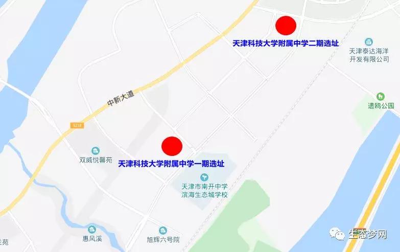 滨海新区未来10年发展,滨海新区人口近十年变化