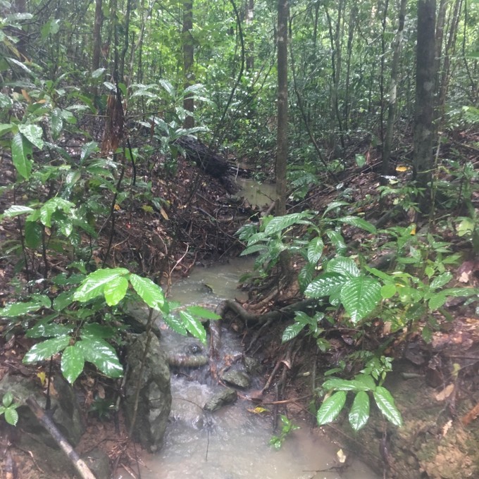 第一次出国去哪里玩马来西亚,一月去沙巴旅游