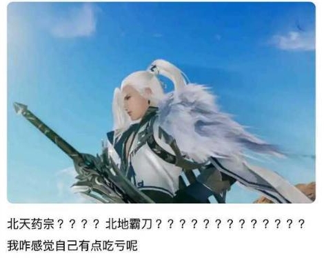 剑网三萌新北天药宗,剑网三联动药宗立牌