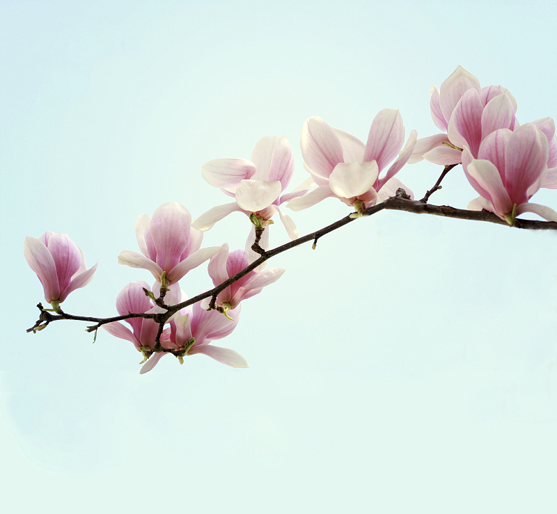 深度解析股,深度证券分析