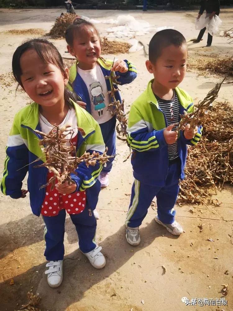 金太阳幼儿园校门,延安市甘泉谢金庄幼儿园