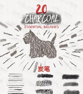 毛笔水彩画笔,ai笔刷画矢量插画