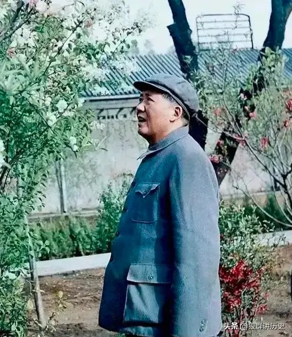 带你认识不一样的毛*东泽**，领略一代伟人的睿智和风采