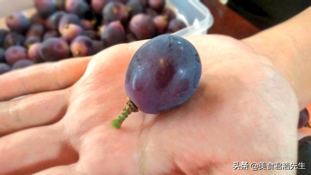 葡萄吃不完存放的最佳方法,吃不完的葡萄能冷冻保存吗