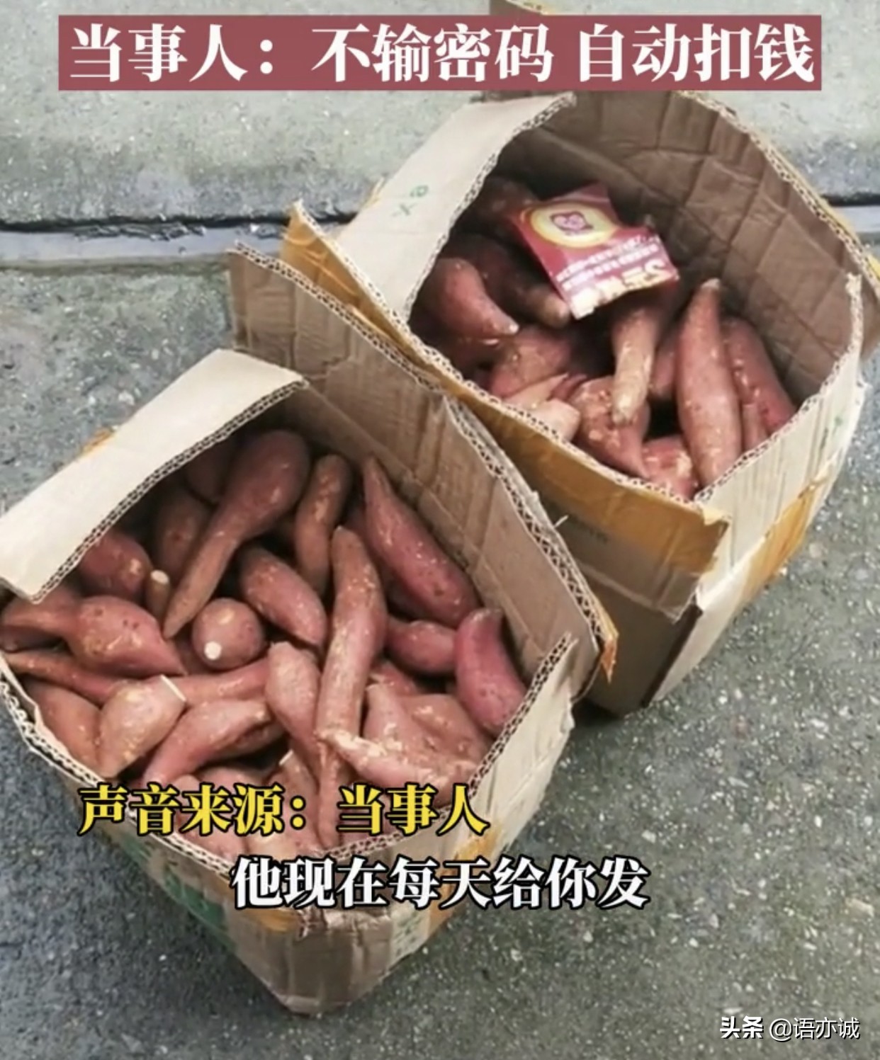 女子在网上买红薯,买一份却收到多份,钱被自动扣款是怎么回事?