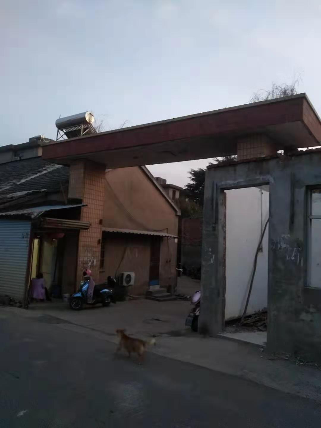 物是人非事事休的下一句是哪一句,物是人非事事休完整句子