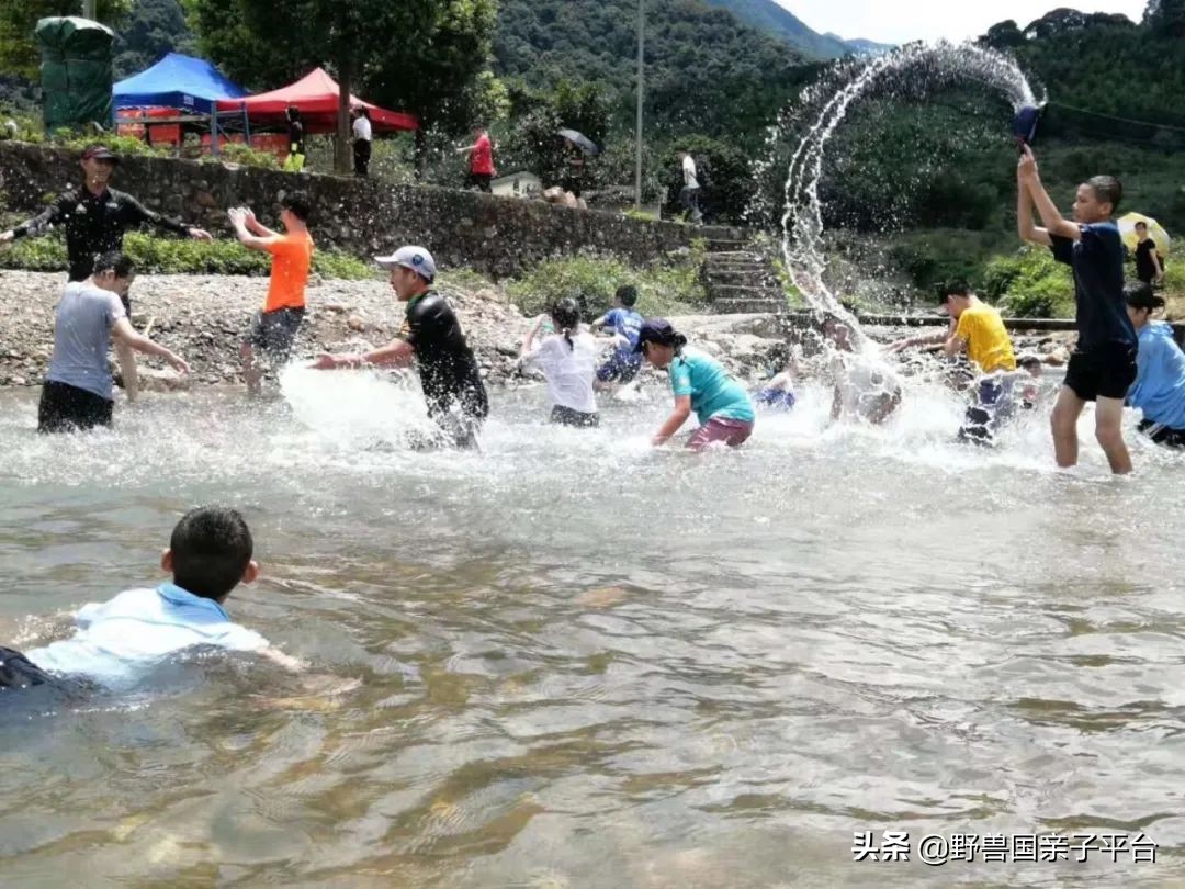 哪里学游泳最便宜又好,暑假学游泳去哪里学