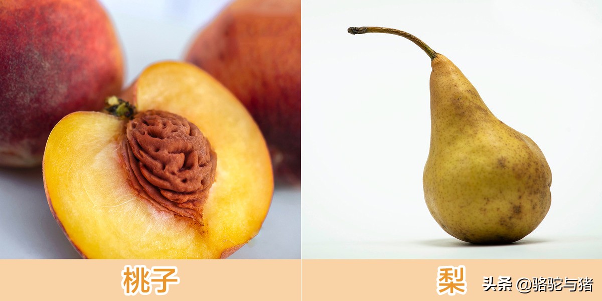 苹果果核里有氰化物,果核含氰