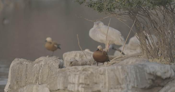 富士xt3配徕卡镜头,富士x-t30二代配什么镜头好