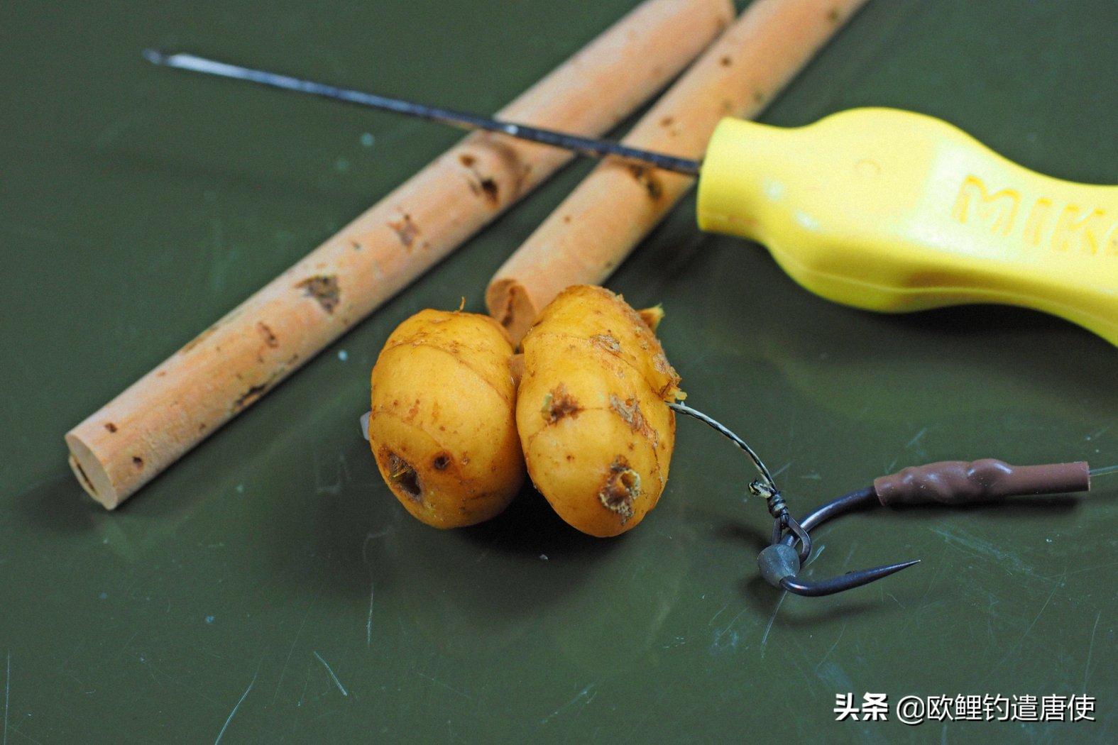 话说欧鲤钓之科学篇,欧鲤钓知识讲解